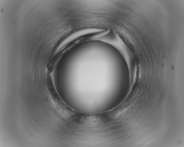 X0000088630546200705251435
