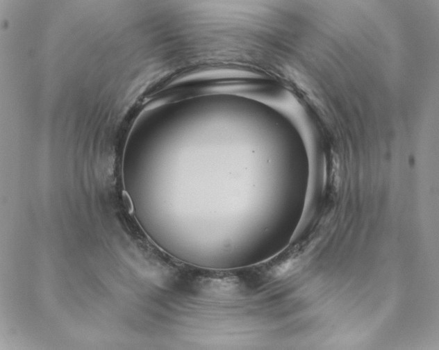 X0000088630548200705251435