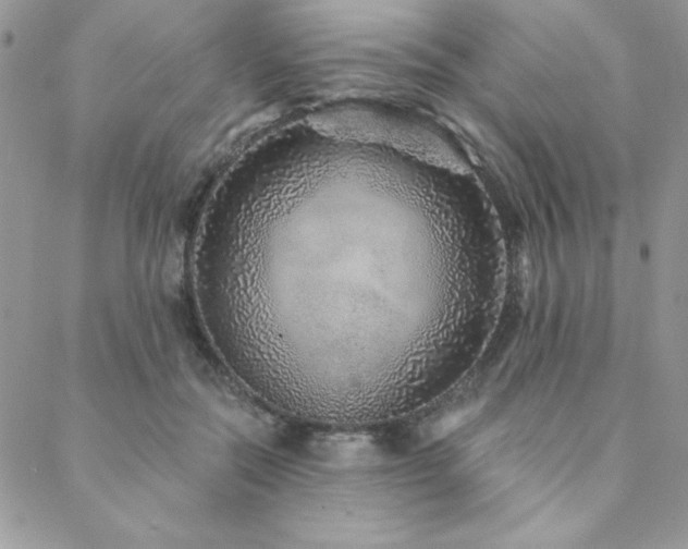 X0000088630554200705251435