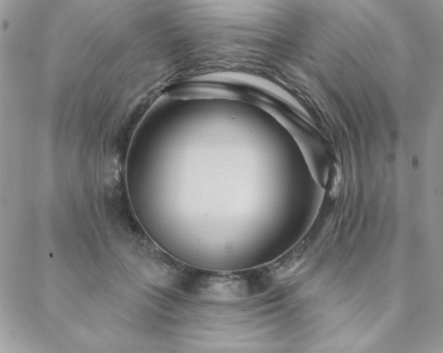 X0000088630555200705251435