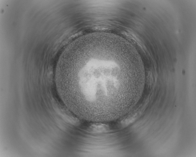 X0000088630557200705251435
