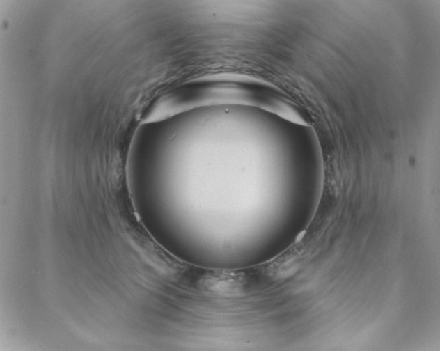 X0000088630563200705251435