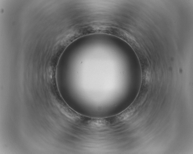 X0000088630567200705251435
