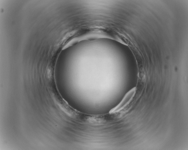 X0000088630568200705251435