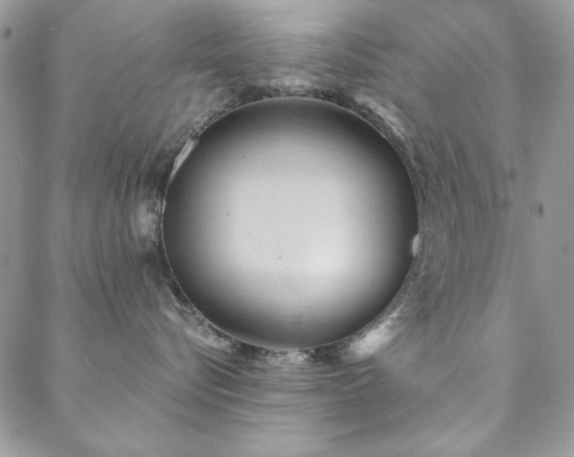 X0000088630576200705251435