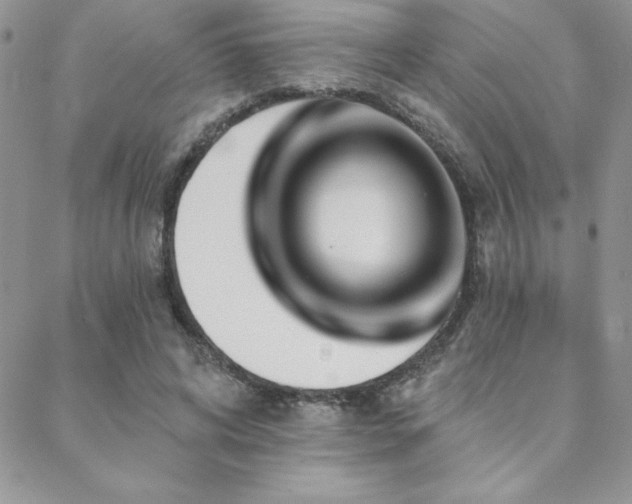 X0000088630592200705251434