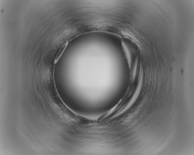 X0000088630597200705251434