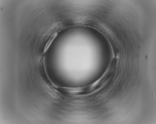 X0000088630601200705251434