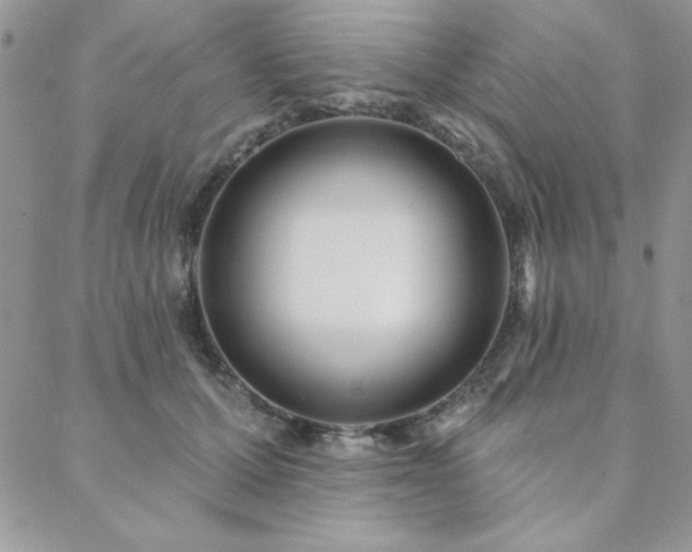 X0000088630607200705251434
