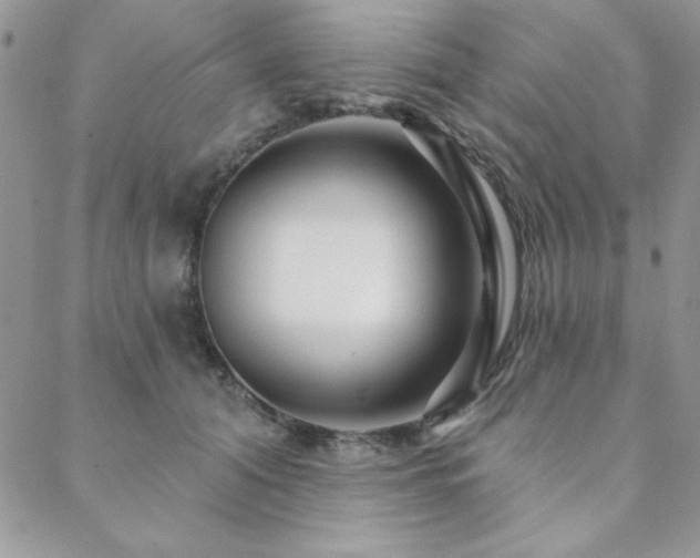 X0000088630608200705251434