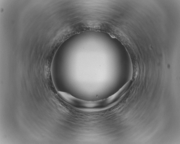 X0000088630609200705251434
