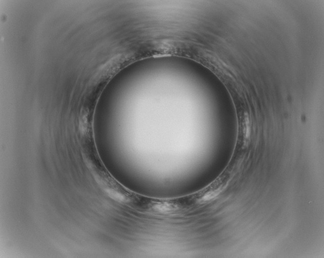 X0000088630611200705251434