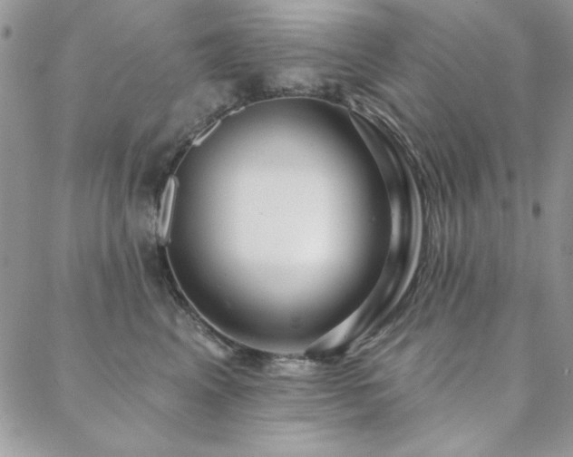 X0000088630617200705251434