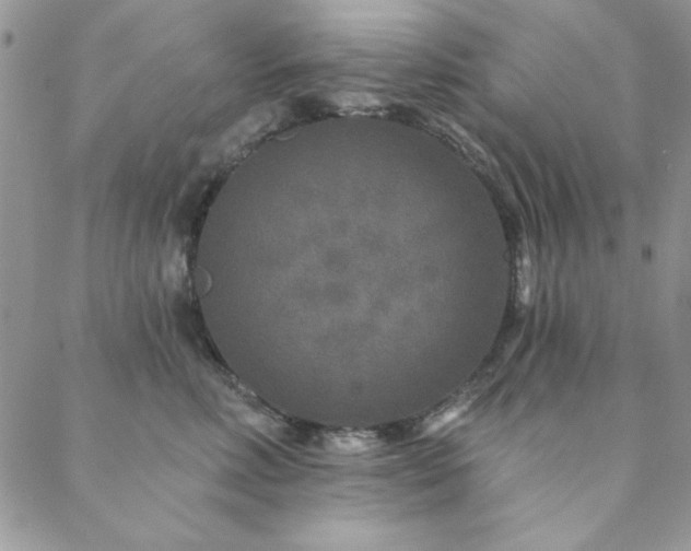 X0000088630618200705251434