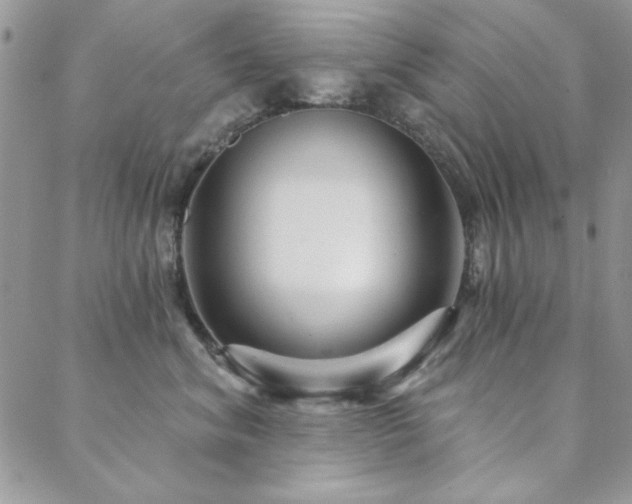 X0000088630620200705251434