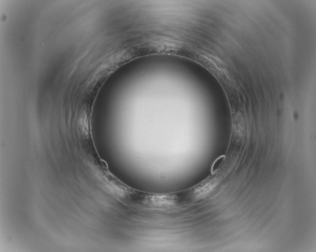 X0000088630622200705251434