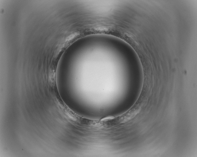 X0000088630624200705251434