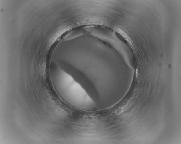 X0000088630627200705251433
