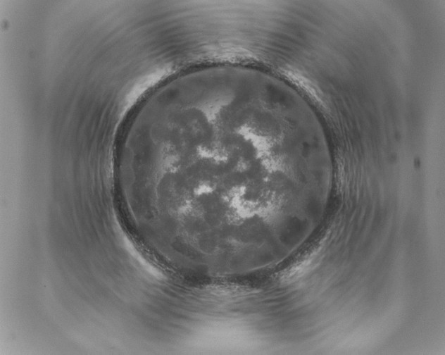 X0000088630630200705251433