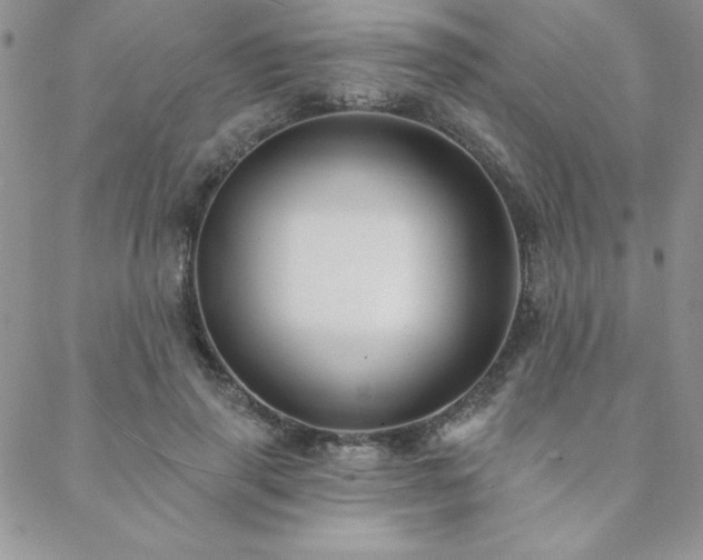 X0000088630645200705251433