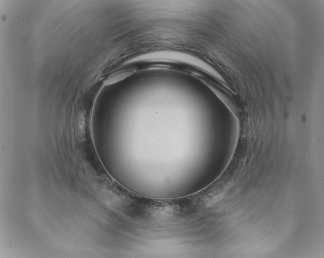 X0000088630646200705251433