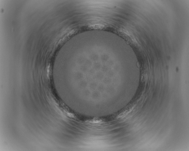 X0000088630647200705251434