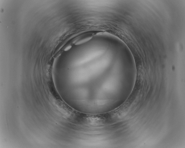 X0000088630650200705251434