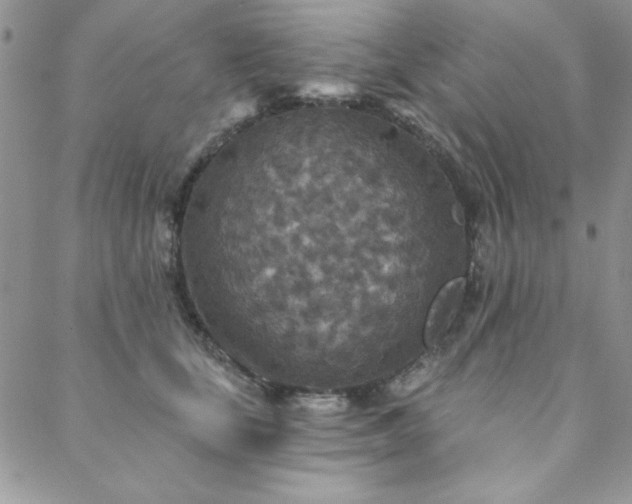X0000088630659200705251434