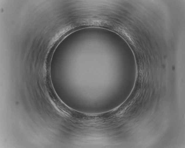 X0000088630674200705251433