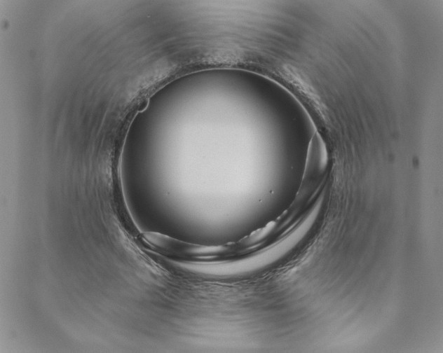 X0000088630681200705251433