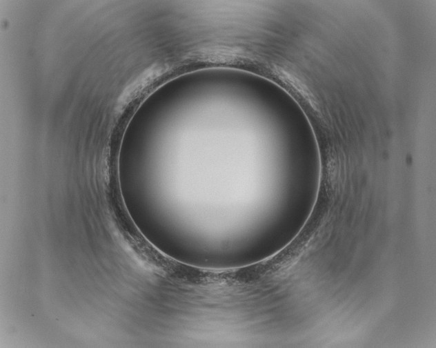 X0000088630682200705251433