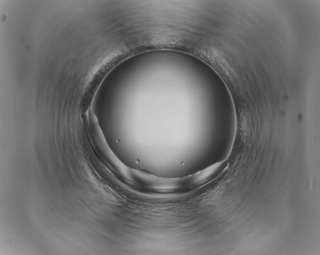 X0000088630684200705251433