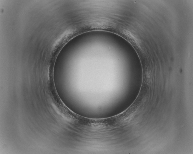X0000088630686200705251433