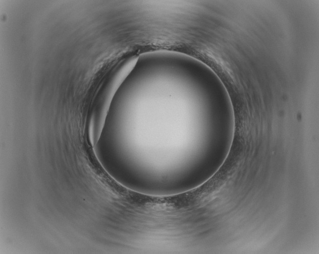 X0000088630689200705251433