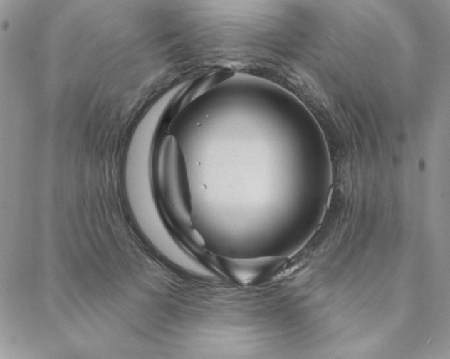 X0000088630697200705251433
