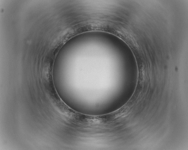 X0000088630698200705251433