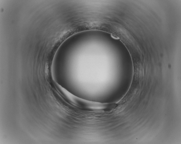 X0000088630700200705251433