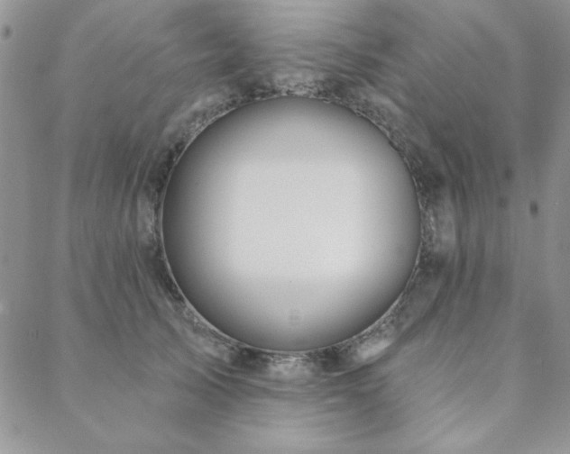 X0000088630705200705251433