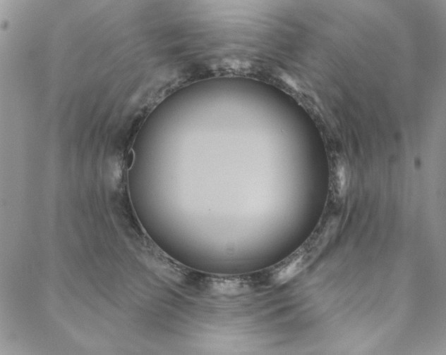 X0000088630709200705251433