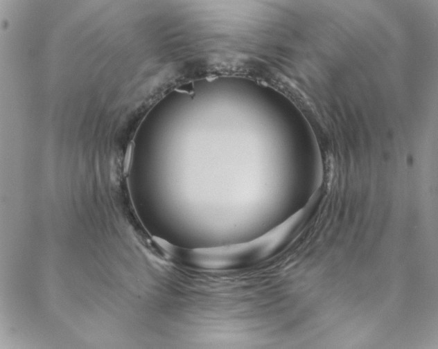 X0000088630712200705251432