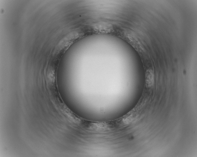 X0000088630713200705251432