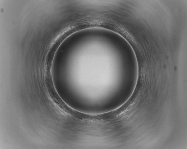 X0000088630722200705251432