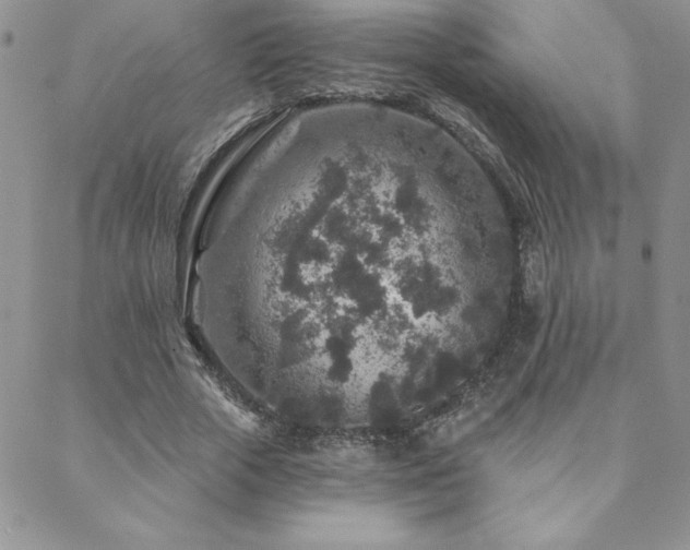 X0000088630729200705251432