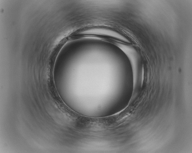 X0000088630732200705251432