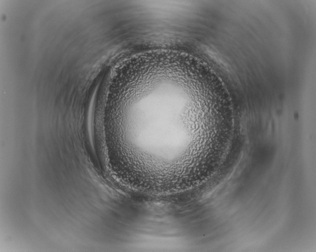 X0000088630737200705251432