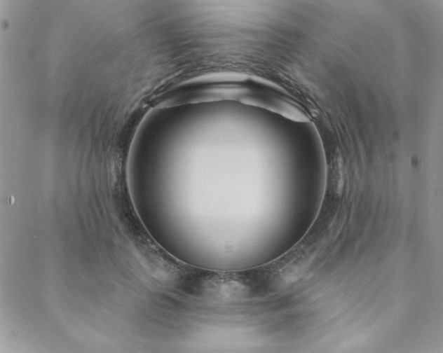 X0000088630747200705251432