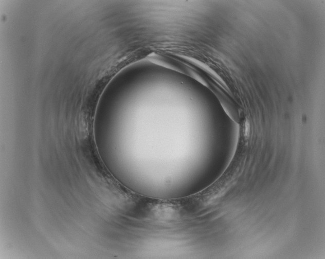 X0000088630751200705251432