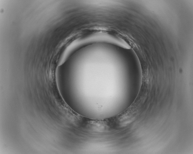 X0000088630763200705251432