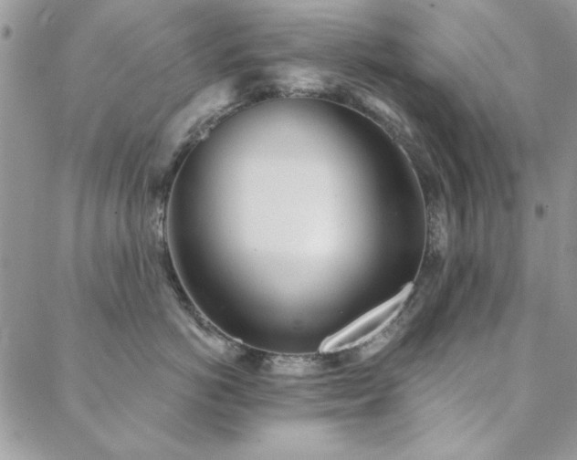 X0000088630766200705251432