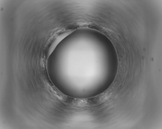 X0000088630768200705251432